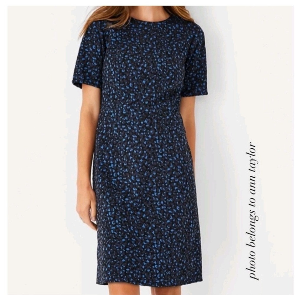 NWT Ann Taylor Blue Black Print Jacquard Sheath Dress 0